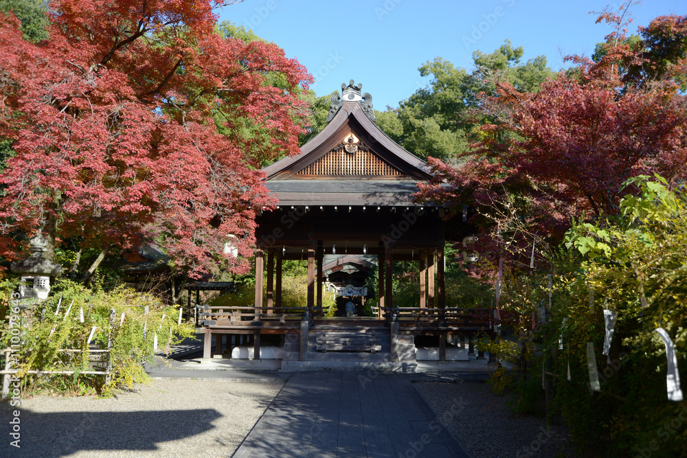 Fototapeta premium 梨木神社 紅葉の拝殿 京都市上京区