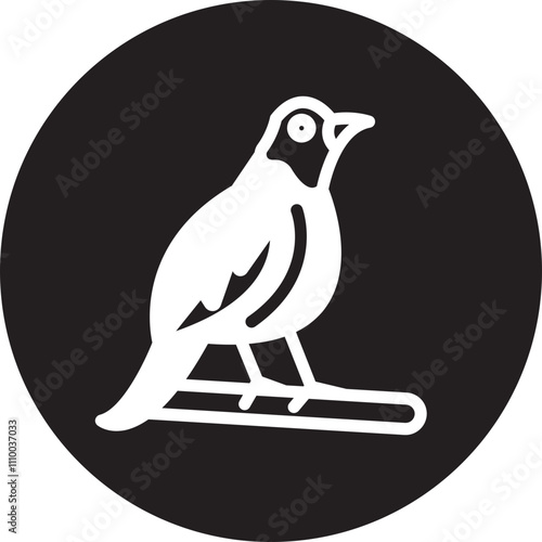Quail 