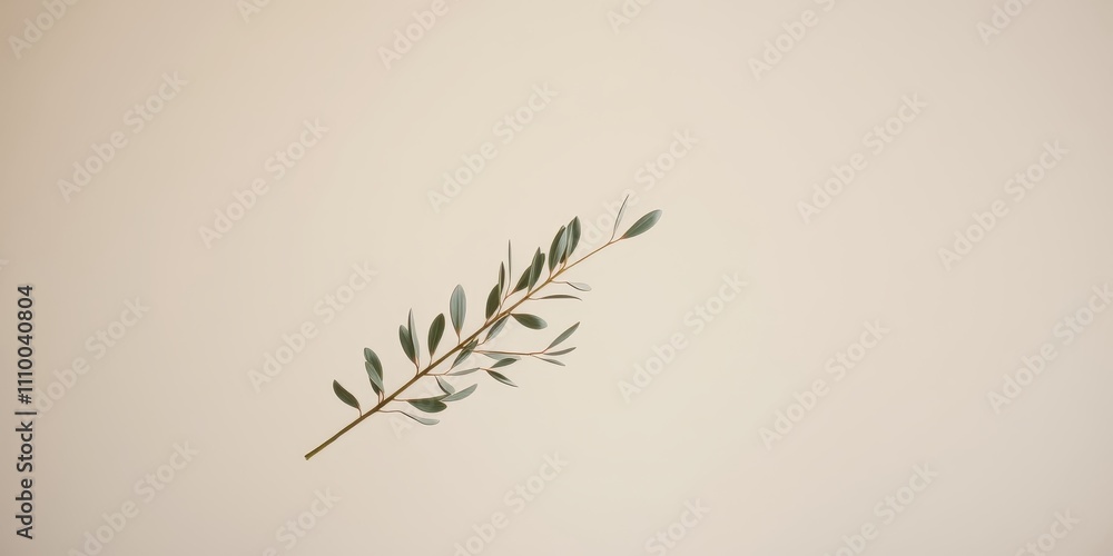 Obraz premium A single twig with delicate green leaves against a pale background, showcasing simple natural beauty.