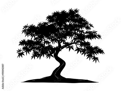 Japanese Maple tree silhouette vector illustration