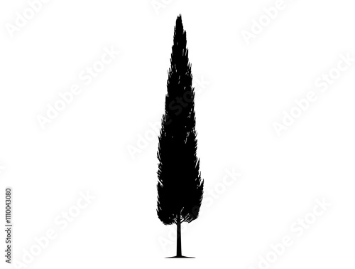 Cypress tree silhouette vector illustration