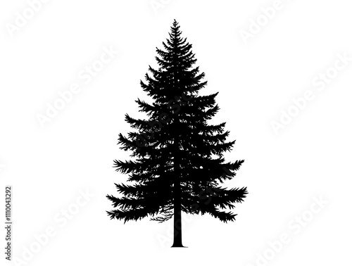 Eastern Hemlock tree silhouette vector illustration