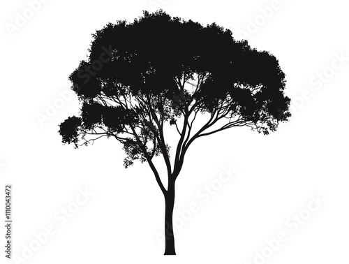 Elm tree silhouette vector illustration