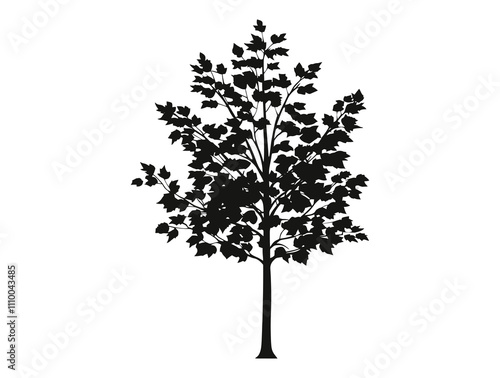 European Hornbeam tree silhouette vector illustration