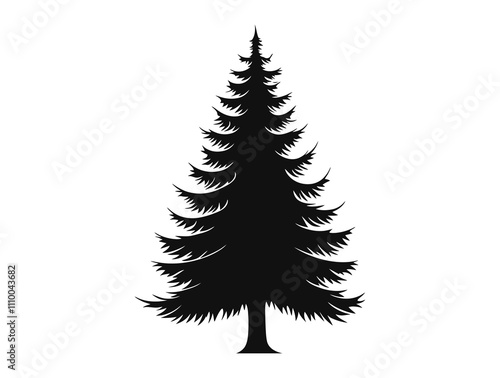 Fraser Fir tree silhouette vector illustration