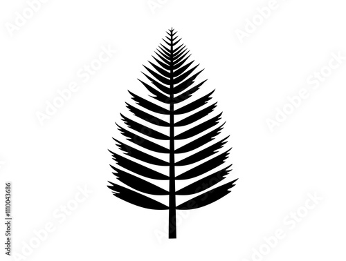 Fraser Fir tree silhouette vector illustration