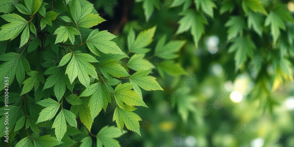 A vibrant display of verdant foliage, showcasing the intricate details and delicate textures of nature's artistry A vibrant display of verdant foliage, showcasing the intricate details and delicate textures of nature's artistry