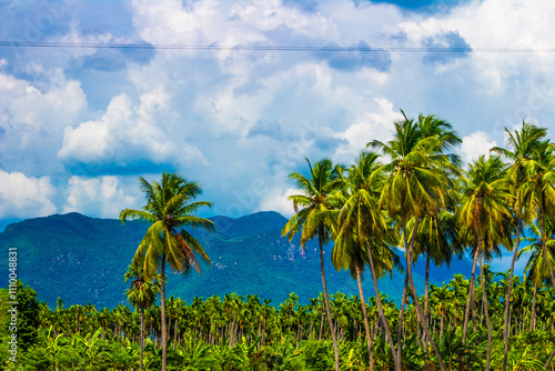 Wallpaper Mural Beautiful landscape with mountains, coconut trees and blue sky. Yercaud hill station, Tamil Nadu, India Torontodigital.ca