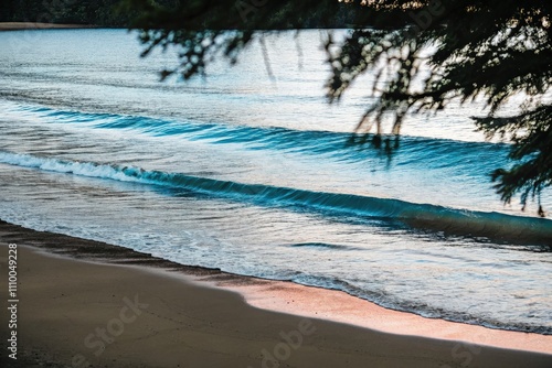 Serene Ocean Waves Meeting Sandy Shore with Overhanging Trees photo