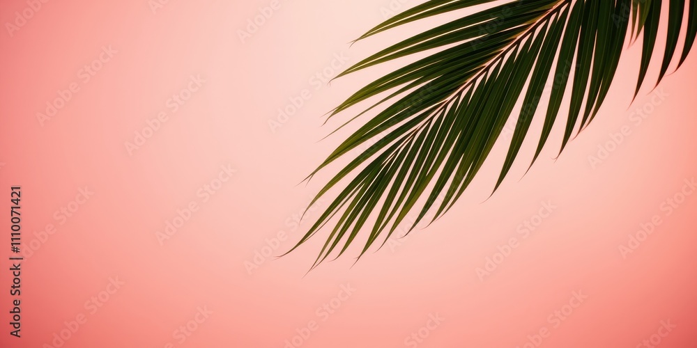 A single palm frond with green leaves against a soft pink sky, showcasing the beauty of nature's delicate details. A single palm frond with green leaves against a soft pink sky, showcasing the beauty of nature's delicate details.