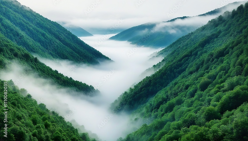 A breathtaking view of a valley nestled between lush green mountains, shrouded in a mystical layer of fog. The scene evokes serenity and natural beauty