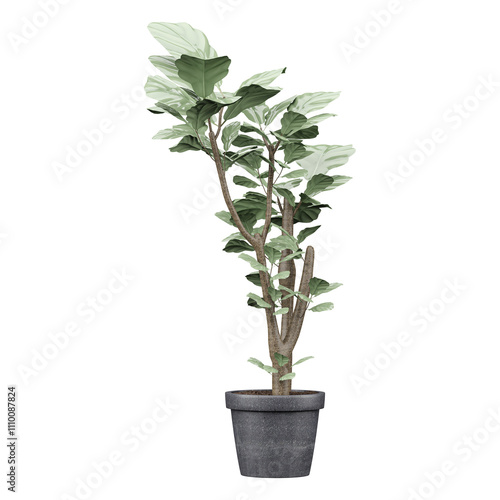 3d illustration of decoraction houseplant in pot isolated on transparent Canvas photo