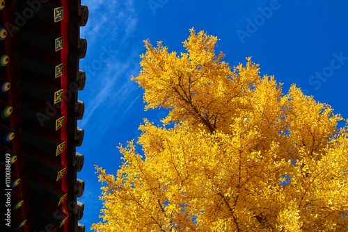 Cheng'en Temple, Shijingshan, Beijing, China photo