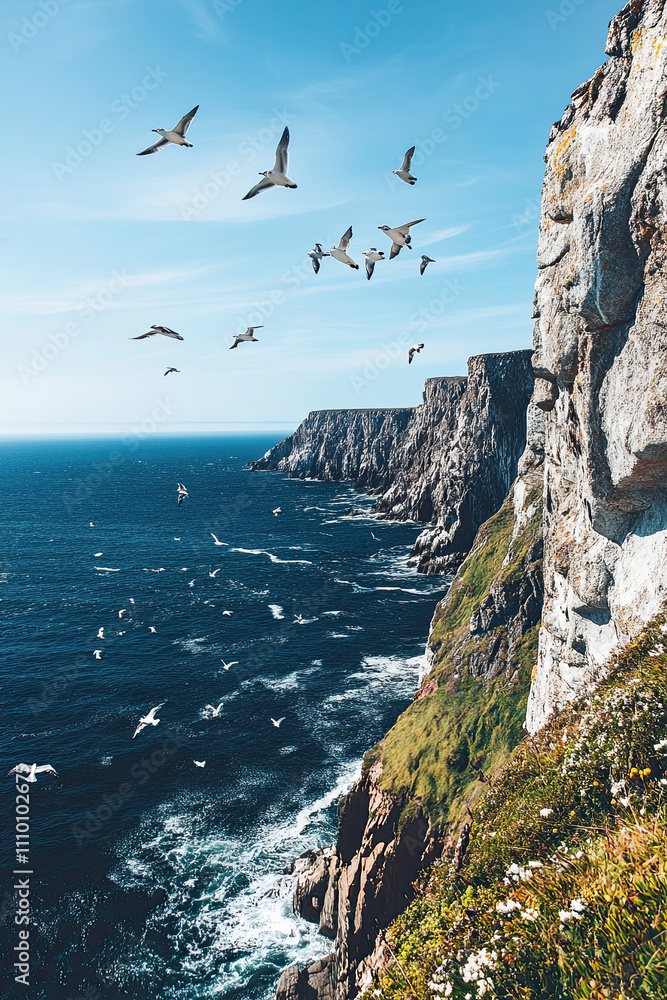Coastal cliffs with a view of the ocean and seabirds flying overhead Coastal cliffs with a view of the ocean and seabirds flying overhead