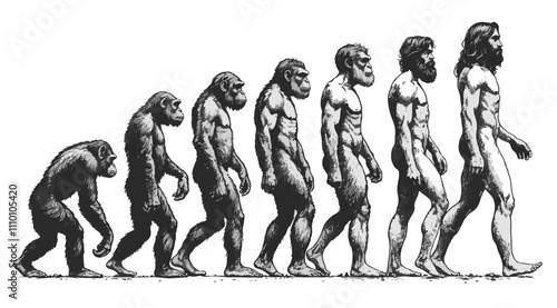 evolution of man from ape through various stages to modern human sketch engraving character vector illustration. high resolution 2
