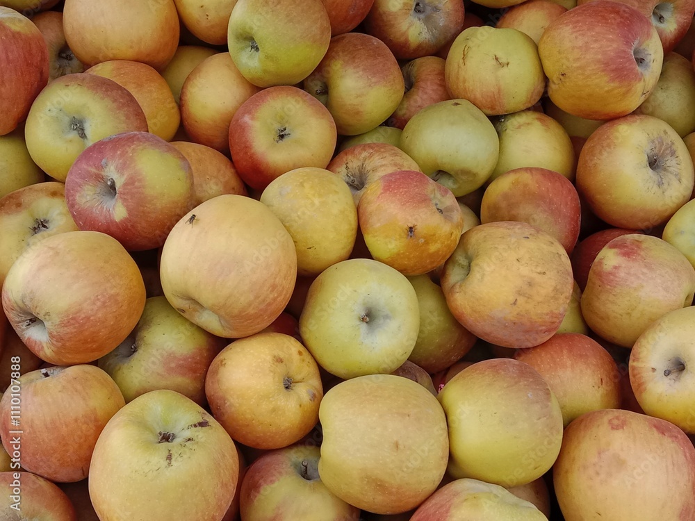 Apple fruit pile displayed in order on vendor's.Malus pumila fruit pile show for sale in the market Apple fruit pile displayed in order on vendor's.Malus pumila fruit pile show for sale in the market