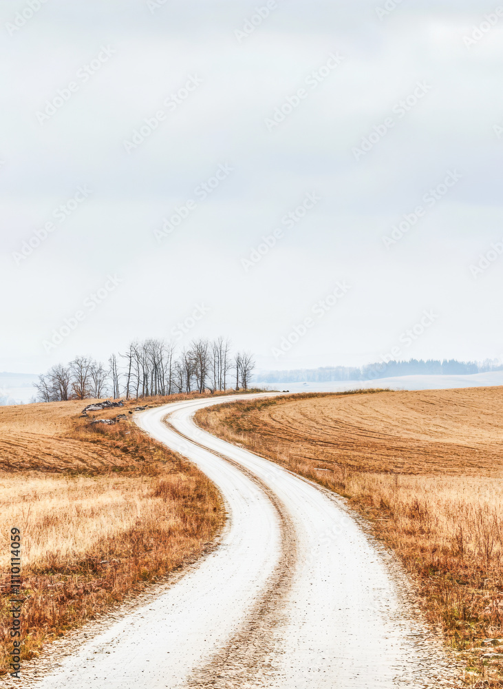 Winding dirt road through golden fields under a cloudy sky in autumn Winding dirt road through golden fields under a cloudy sky in autumn
