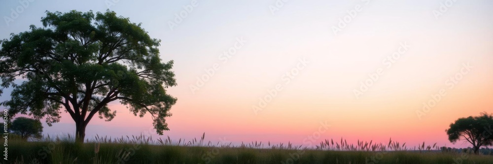 Obraz premium A solitary tree stands tall in the center of a vibrant pink and orange background, calm, summer, background