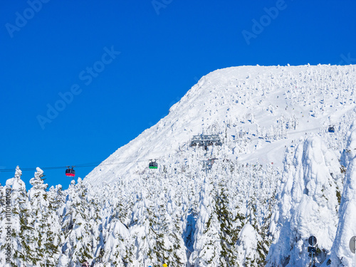 Forest of ice monsters with cablecars (Zao, Yamagata, Japan) photo