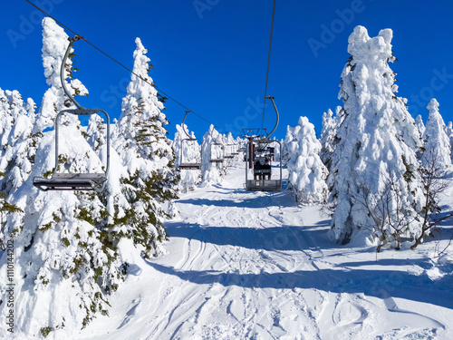 Chairlifts passing through a forest of ice monsters (Zao, Yamagata, Japan) photo