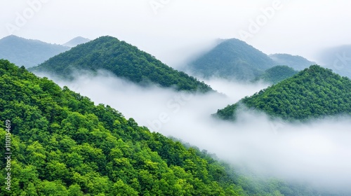 Misty green mountains, lush foliage, low clouds.