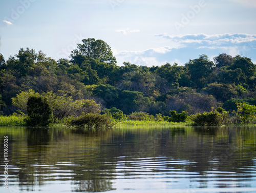 Amazon river landscape near the community of Anama.