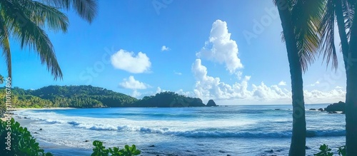 Anse Intendance beach with turquoise waters and coconut tree silhouettes under a clear blue sky at low tide with gentle crashing waves. photo