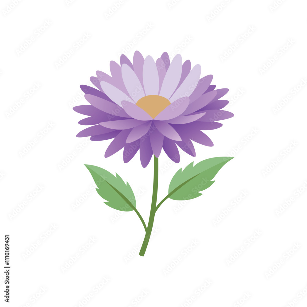 Fototapeta premium Aster flower isolated flat vector illustration on white background