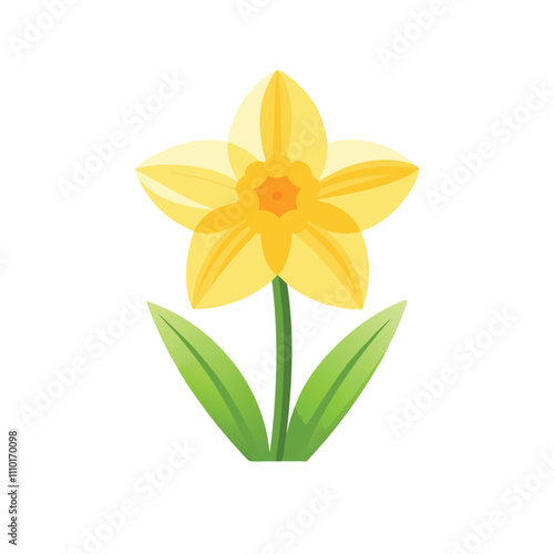 Daffodil flower isolated flat vector illustration on white background.