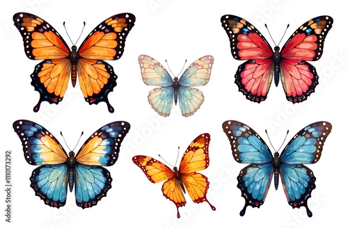 Butterfly collection. Colorful Butterflies set.