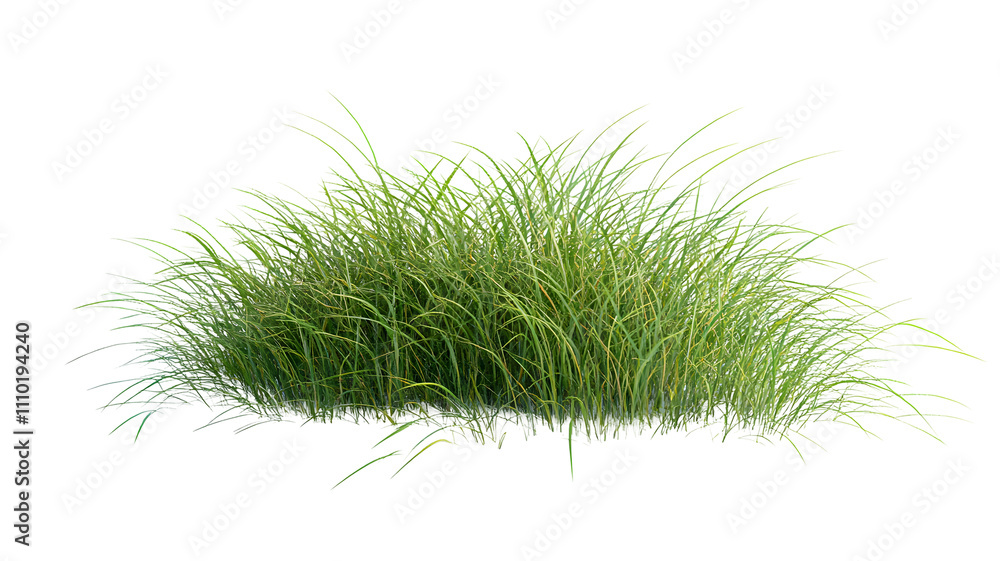 Lush green grass clump in natural setting. Lush green grass clump in natural setting.