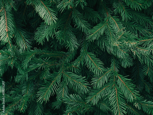 Minimal green Christmas background