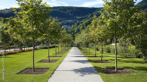 Fototapeta Naklejka Na Ścianę i Meble -  Tranquil park pathway with lush greenery and aligned trees in a serene landscape surrounded by hills and blue sky.