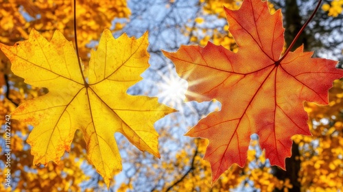 Autumn sunlight filtering through colorful leaves creating a beautiful bokeh effect with vibrant yellow and orange hues in nature.