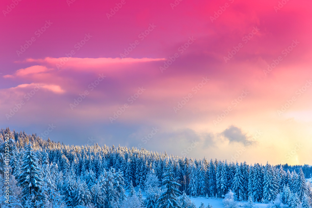 winter landscape with red sky and frozen forest