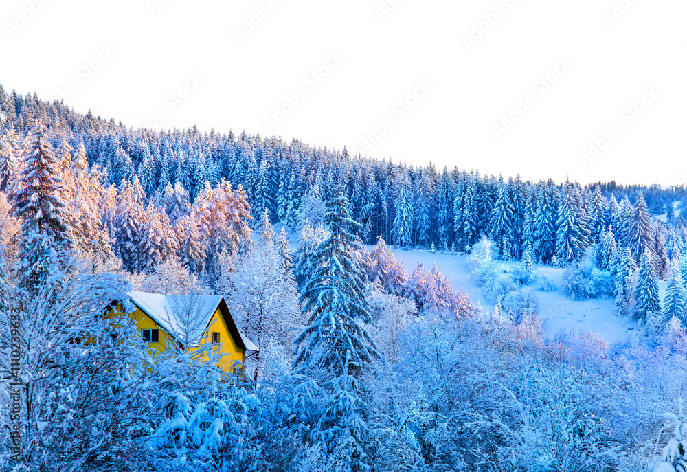 snow in winter scene with forest and chalet