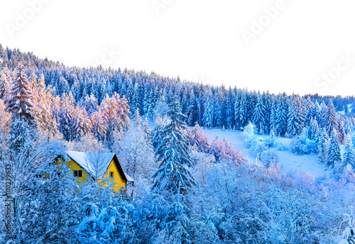 Obraz na płótnie snow in winter scene with forest and chalet w salonie