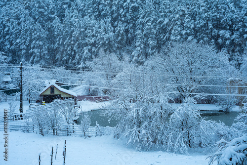 Obraz na płótnie heavy snow in winter landscape with house, lake and forest. w salonie