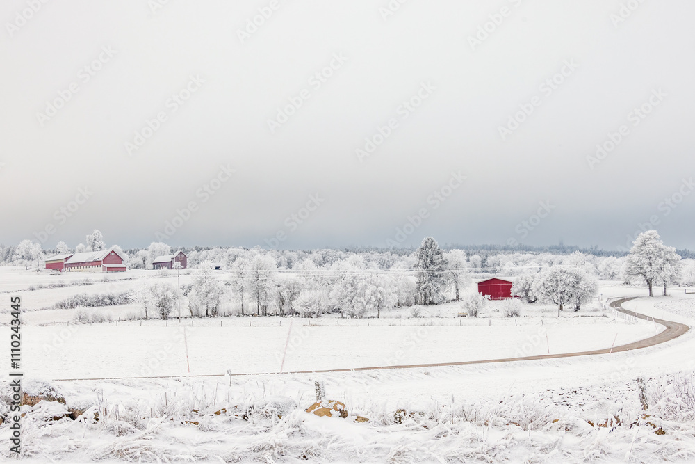 Winter in the countryside with hoarfrost and snow a cold winter day Winter in the countryside with hoarfrost and snow a cold winter day