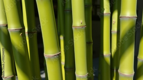 Wabi-sabi Close-up of vibrant green bamboo stalks, highlighting their natural texture and simplicity.