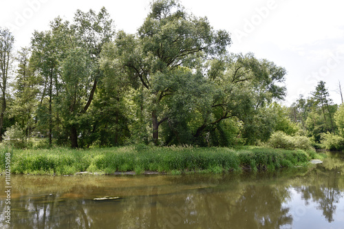 Scenic Summer Landscape with Calm River and Lush Greenery in Poland