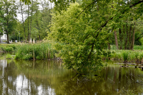 Scenic Summer Landscape with Calm River and Lush Greenery in Poland