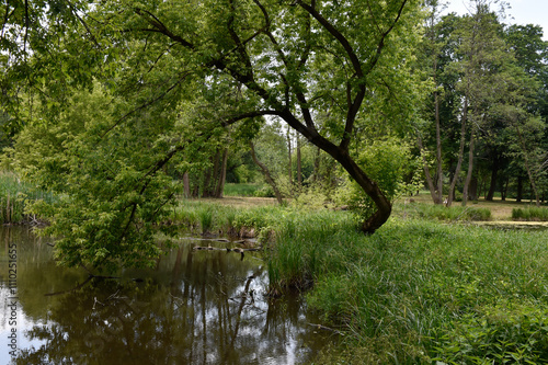 Scenic Summer Landscape with Calm River and Lush Greenery in Poland