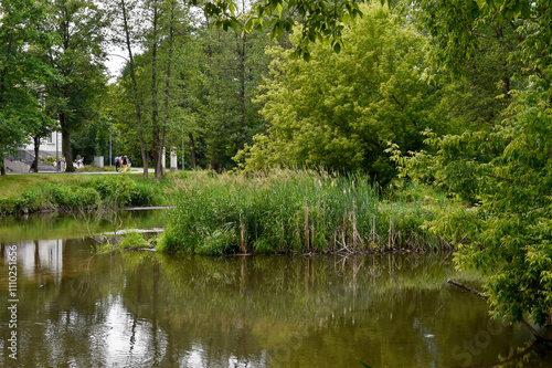 Scenic Summer Landscape with Calm River and Lush Greenery in Poland