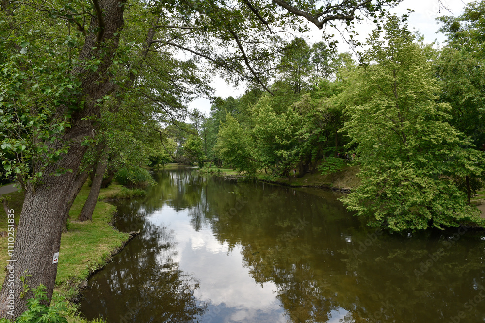 Scenic Summer Landscape with Calm River and Lush Greenery in Poland Scenic Summer Landscape with Calm River and Lush Greenery in Poland