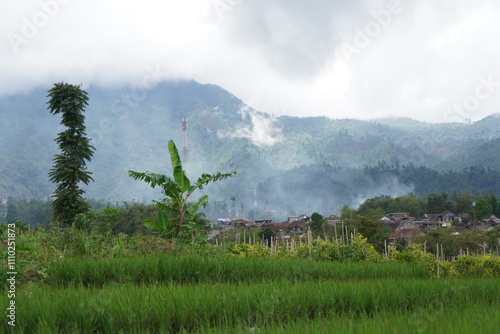 A misty mountain landscape with a small village nestled in the valley.