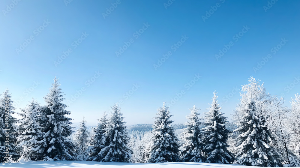 Snowy landscape with frosted trees under a clear blue sky, evoking winter serenity. Snowy landscape with frosted trees under a clear blue sky, evoking winter serenity.
