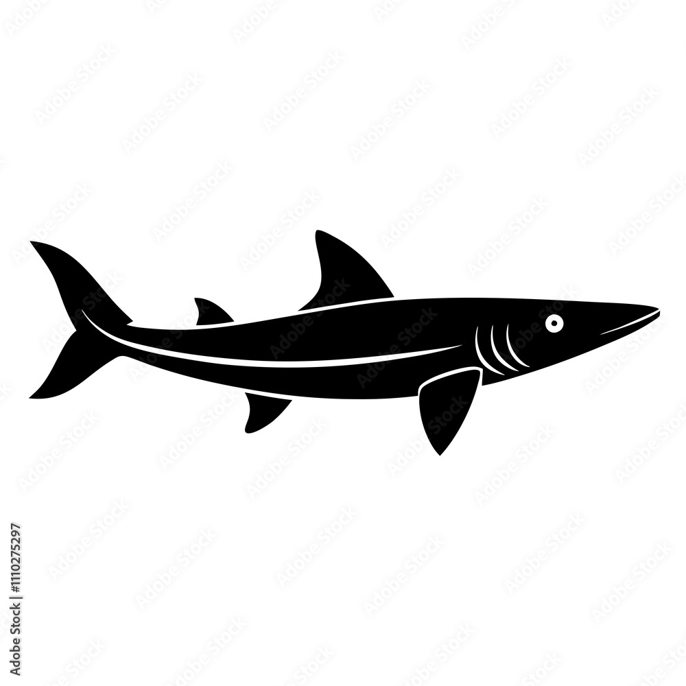 fish on white background fish on white background
