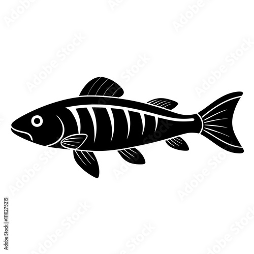 fish on a white background