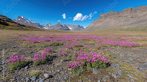 A vibrant field of pink flowers against a mountainous landscape under a clear sky.